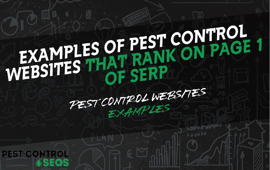 Examples of Pest Control Websites That Rank on Page 1 of SERP