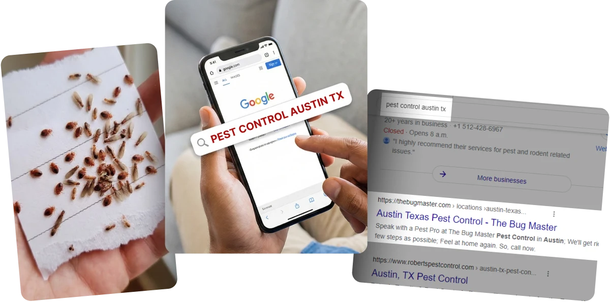 PestControlSEOs Searching